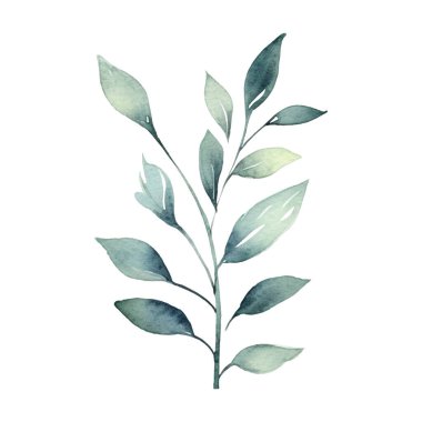 Suluboya çiçek illüstrasyonuName