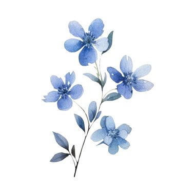 Suluboya çiçek illüstrasyonuName