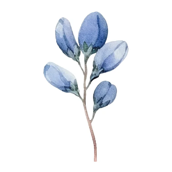 Akvarell Blomma Illustration Illustration Blå Och Grön Blomma — Stock vektor