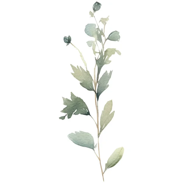 水彩花イラスト 青と緑の花のイラスト — ストックベクタ