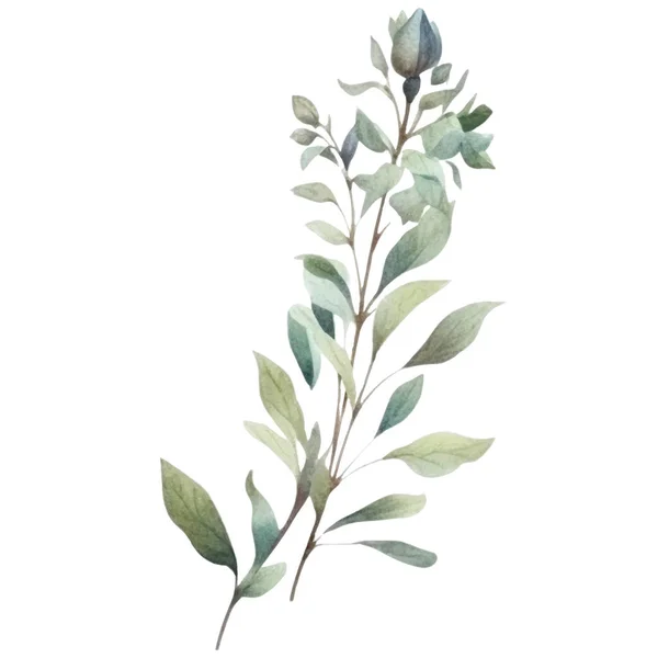 Watercolor Flower Illustration Illustration Blue Green Flower — Stock Vector