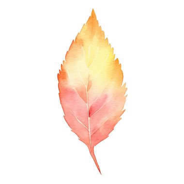 Suluboya Sonbahar Yaprakları Düzenlemesi