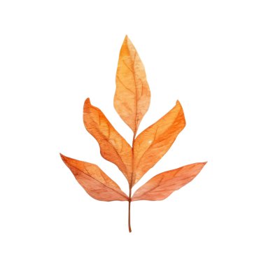 Suluboya Sonbahar Yaprakları Düzenlemesi