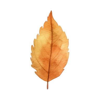 Suluboya Sonbahar Yaprakları Düzenlemesi