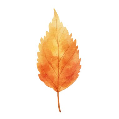 Suluboya Sonbahar Yaprakları Düzenlemesi