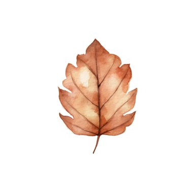 Suluboya Sonbahar Yaprakları Düzenlemesi