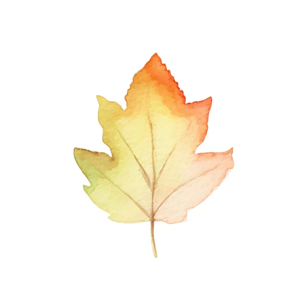 Aquarell Herbst Blätter Arrangement — Stockvektor