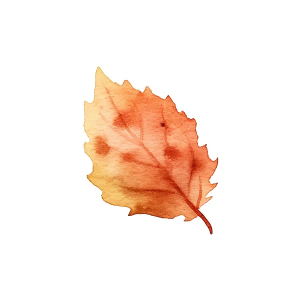 Υδατογραφία Φθινοπωρινή Διάταξη Φύλλα — Διανυσματικό Αρχείο