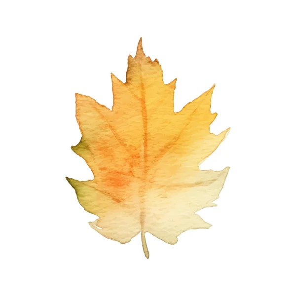 Υδατογραφία Φθινοπωρινή Διάταξη Φύλλα — Διανυσματικό Αρχείο