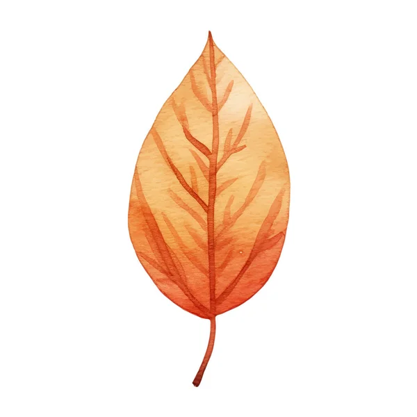 Uspořádání Podzimních Listů Akvarelu — Stockový vektor