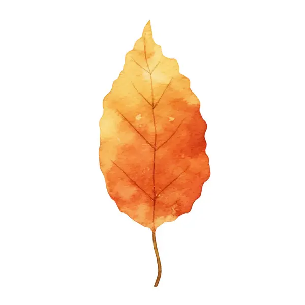 Watercolor Autumn Leaves Arrangement — Stock Vector