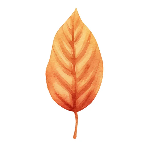 Осенние Листья Акварели — стоковый вектор