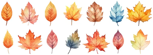 Herfstbladeren Een Aquarel Een Witte Achtergrond Vectorillustratie — Stockvector