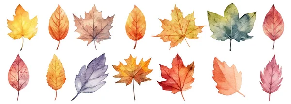 Outono Deixa Uma Aquarela Contexto Branco Ilustração Vetorial — Vetor de Stock