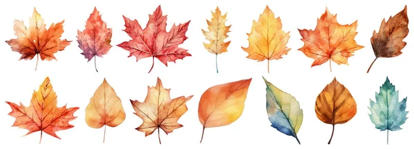 Herfstbladeren Een Aquarel Een Witte Achtergrond Vectorillustratie — Stockvector
