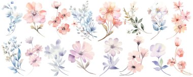 Suluboya Yaban Çiçeği Koleksiyonu. El çizimi çiçek tasarımı elementleri beyaz arka planda izole edildi. Tebrik kartı veya davet tasarımı için vektör düzenlemeleri