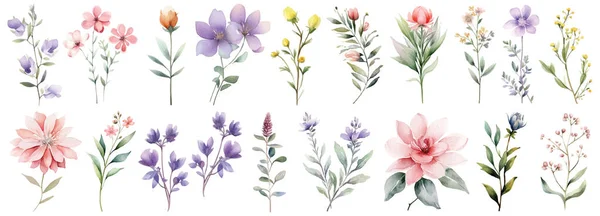 Υδατογραφία Συλλογή Wildflower Χειροποίητα Στοιχεία Σχεδιασμού Λουλουδιών Που Απομονώνονται Λευκό — Διανυσματικό Αρχείο
