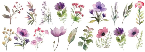 Υδατογραφία Συλλογή Wildflower Χειροποίητα Στοιχεία Σχεδιασμού Λουλουδιών Που Απομονώνονται Λευκό — Διανυσματικό Αρχείο
