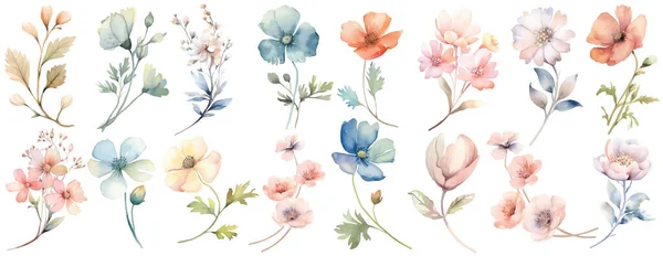 Aquarell Wildflower Collection Handgezeichnete Blumendesign Elemente Auf Weißem Hintergrund Isoliert — Stockvektor
