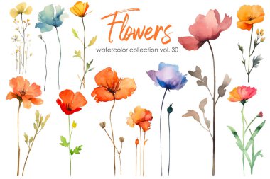 Çiçek ve yaprak suluboya resim. El çizimi çiçek vektör elementleri beyaz arkaplanda izole.