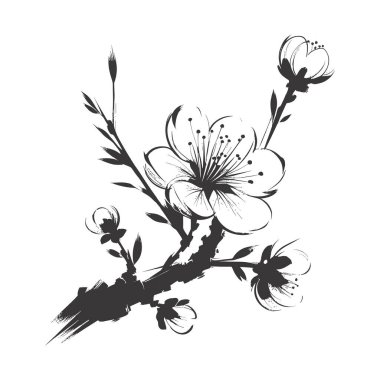 Kiraz çiçeği, botanik sanatı. Bahar bademi, sakura, elma ağacı dalı, el çizimi karalama vektörü çizimi. Güzel siyah mürekkep sanatı, beyaz arka planda izole edilmiş. Gerçekçi çiçek çiçeği çizimi