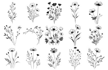 Yaban çiçekleri ve otlar. El çizimi mürekkep çizimi. Doodle tarzı