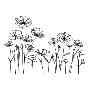 Devamlı yaban çiçeği illüstrasyonu
