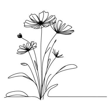 Devamlı yaban çiçeği illüstrasyonu