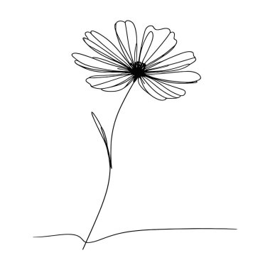 Devamlı yaban çiçeği illüstrasyonu