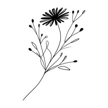 Devamlı yaban çiçeği illüstrasyonu