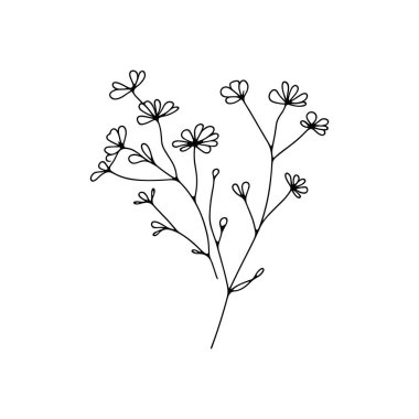 Devamlı yaban çiçeği illüstrasyonu