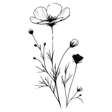 Yaban çiçekleri vektör eli çizimi