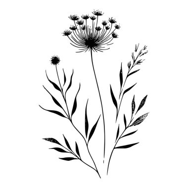 Yaban çiçekleri vektör eli çizimi