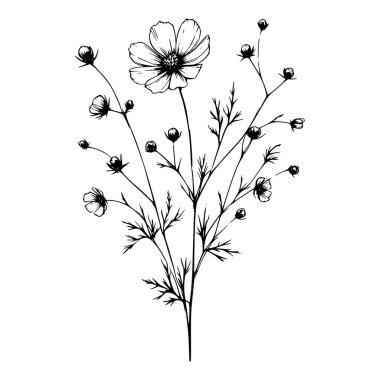 Wildflowers vector hand drawn Illustration clipart