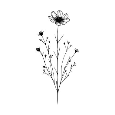 Yaban çiçekleri vektör eli çizimi