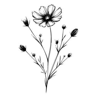 Yaban çiçekleri vektör eli çizimi