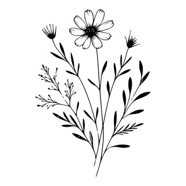 Yaban çiçekleri vektör eli çizimi