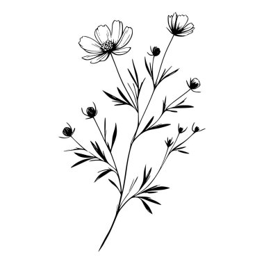 Yaban çiçekleri vektör eli çizimi