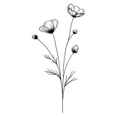 Yaban çiçekleri vektör eli çizimi