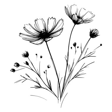 Yaban çiçekleri vektör eli çizimi