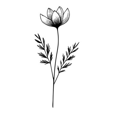 Yaban çiçekleri vektör eli çizimi