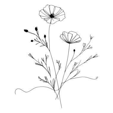 Yaban çiçekleri vektör eli çizimi