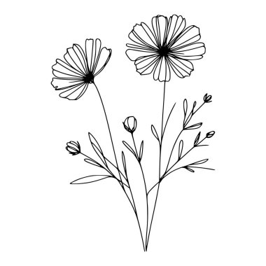 Yaban çiçekleri vektör eli çizimi