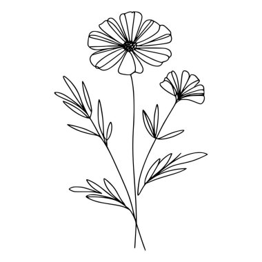 Yaban çiçekleri vektör eli çizimi