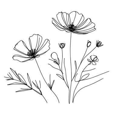 Yaban çiçekleri vektör eli çizimi