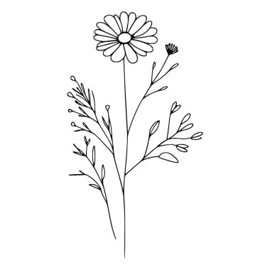 Yaban çiçekleri vektör eli çizimi