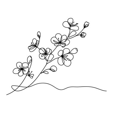 Sakura çiçeği aralıksız çizgi vektör çizimi