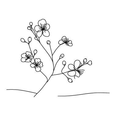 Sakura çiçeği aralıksız çizgi vektör çizimi