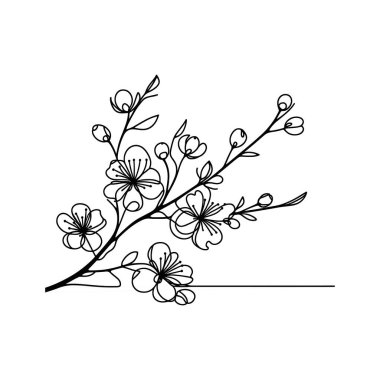 Sakura çiçeği aralıksız çizgi vektör çizimi