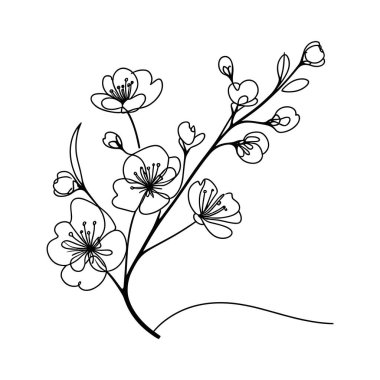 Sakura çiçeği aralıksız çizgi vektör çizimi